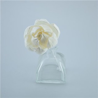 Sola Flowers