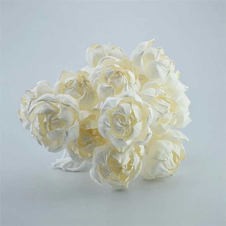 Sola Flowers